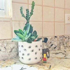 Meet your Posher, Stephany